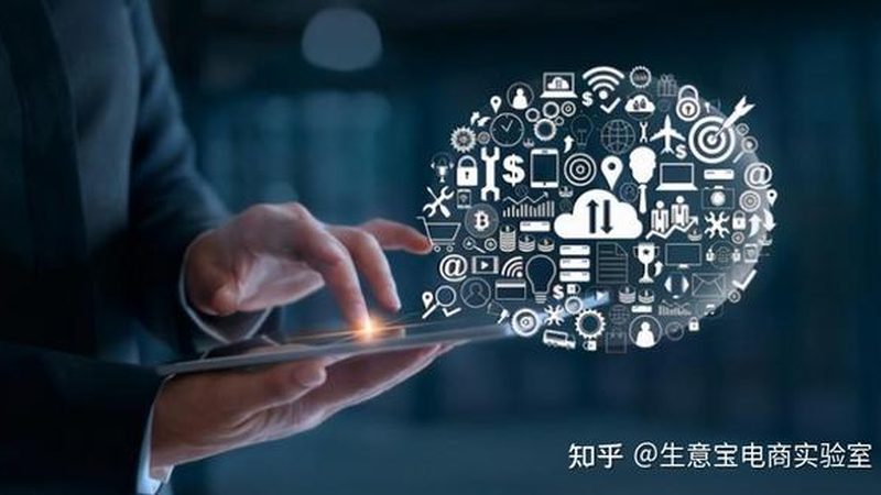网站推广代理加盟，成本与价值的平衡之道
